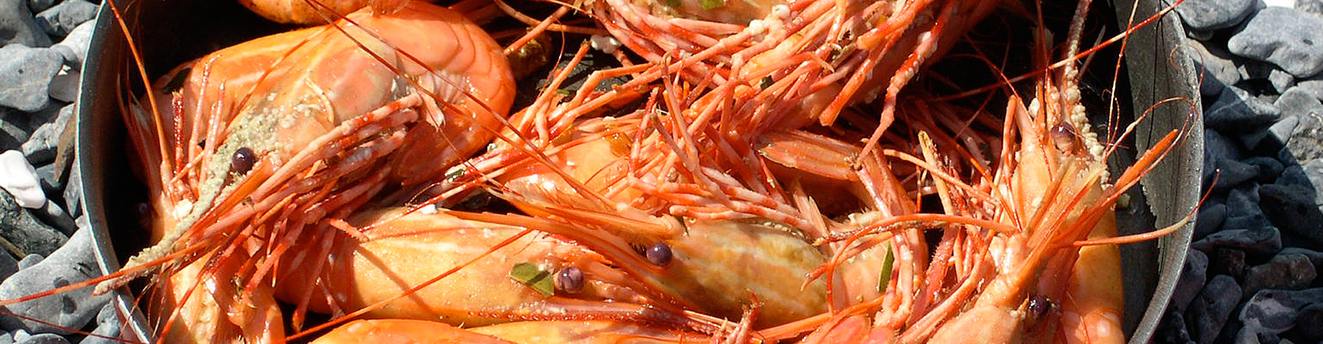 Alaska Tiger Prawns Shrimp in Pot at Beach Cookout The Lodge at Whale Pass